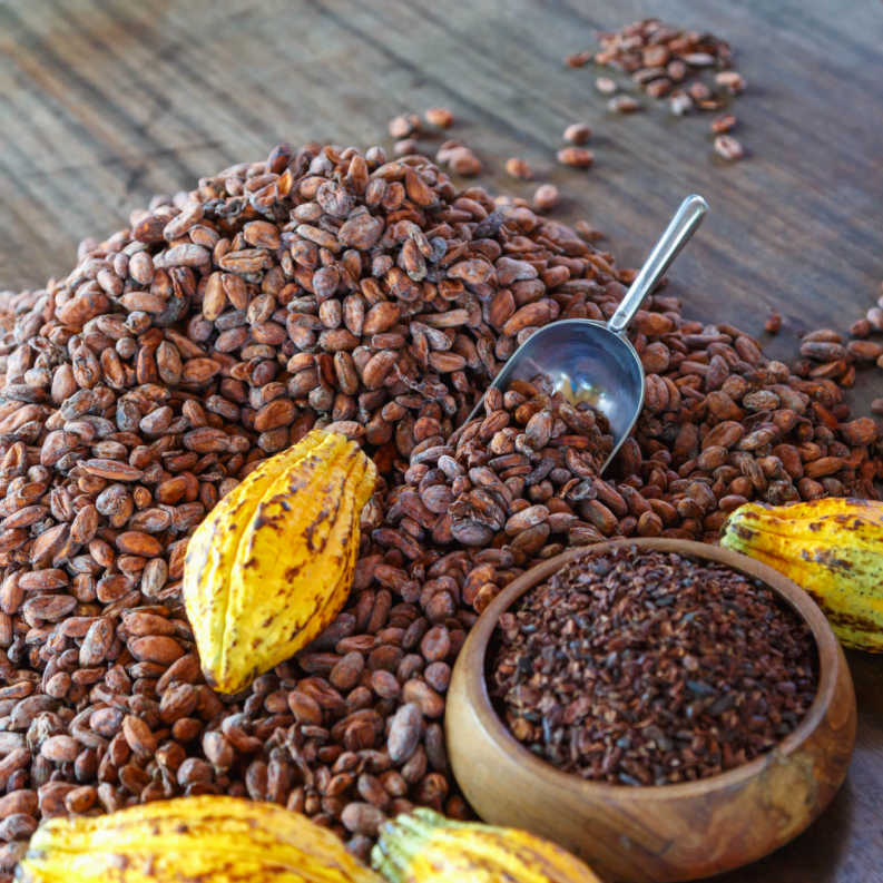 Kakao Fiyat Dinamiklerine Bir Bakış… 